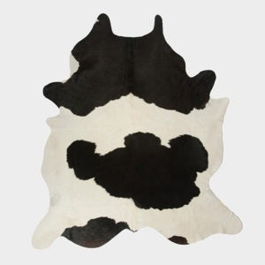 Dutch Cow
